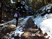 05 Piante ancora cariche di neve...